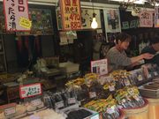 ��������������[����̍]�ˋv�̓��e�ʐ^1