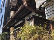 �t�~����񂳂�̐_�c�܂�̓��e�ʐ^1