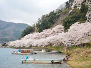 ۂƂ񂳂̊CÑ̓eʐ^1