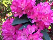 ݂񂳂̑K̂̓eʐ^1