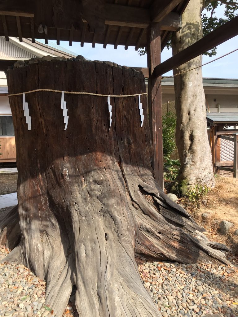 小山市の神社 神宮 寺院ランキングtop7 じゃらんnet