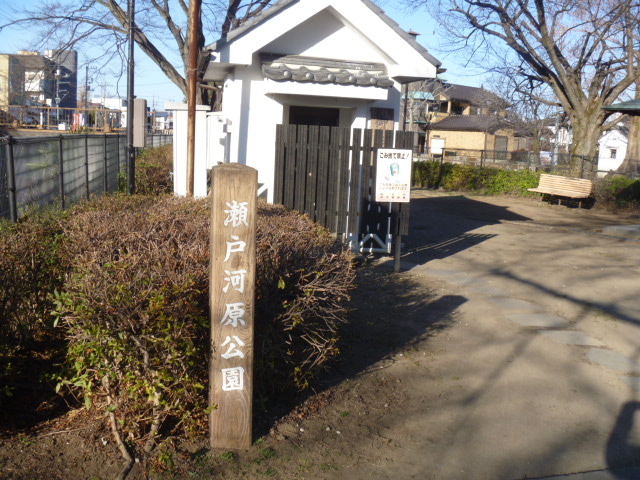 �g�V���[����̐��ˉ͌������̓��e�ʐ^1