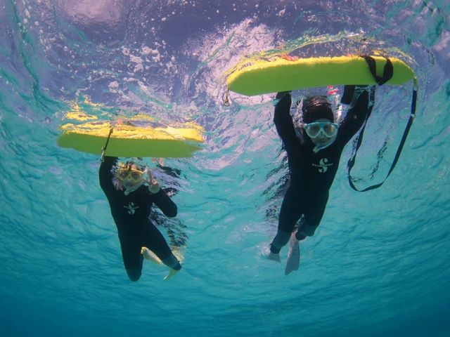 �o�i�i�ɂ��܂肨�΂���ł����S�ł��I_�}�����T�[�r�X�A�|�����Ί_��