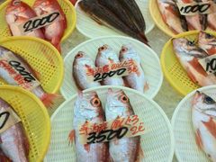 񂳂̋̎sʂւ̓eʐ^1