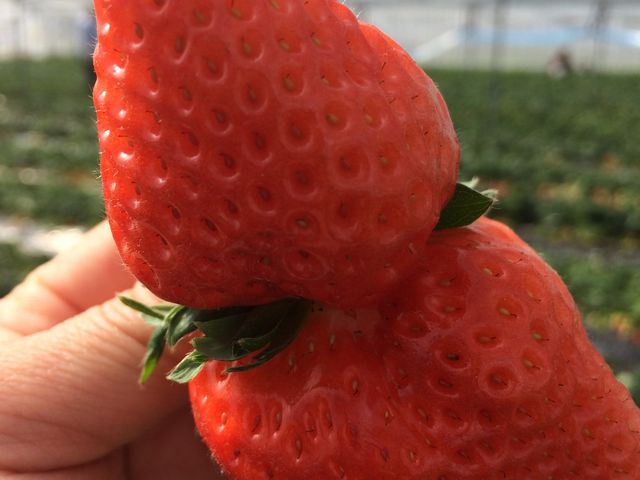 肳̗̉w@L삭̑̓eʐ^1