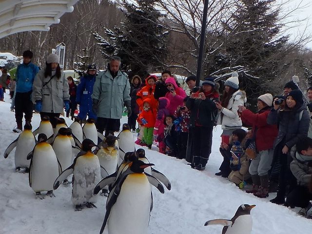 �܂����Ō���܂�_���R������