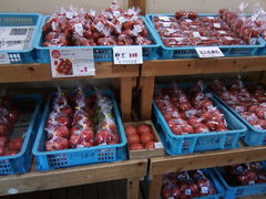 �������肳��̑�m�܂�����s��ւ̓��e�ʐ^1