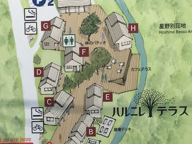 E H AuEꂢvBʂ߂ƗViS/Sj_y 