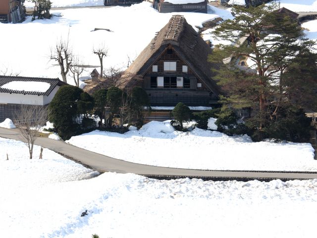 �W�]��߂����_�a�c��