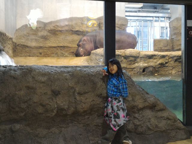 �V�����Ȃ����A�W�A�ق̂���_�~�R������