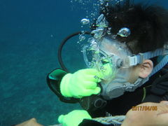 sP̌cǊ(P})C攼cA[X@OPGւ̓eʐ^3