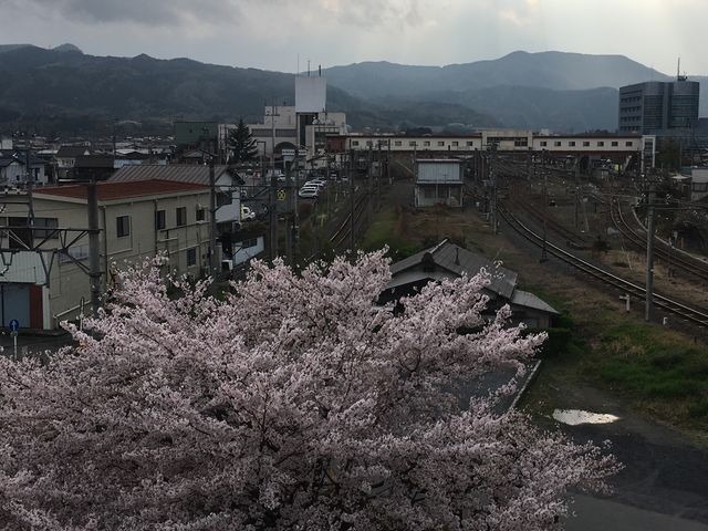 񋏉w̓kɉ˂uV勴v̒]BiR/Tj_񋏉w