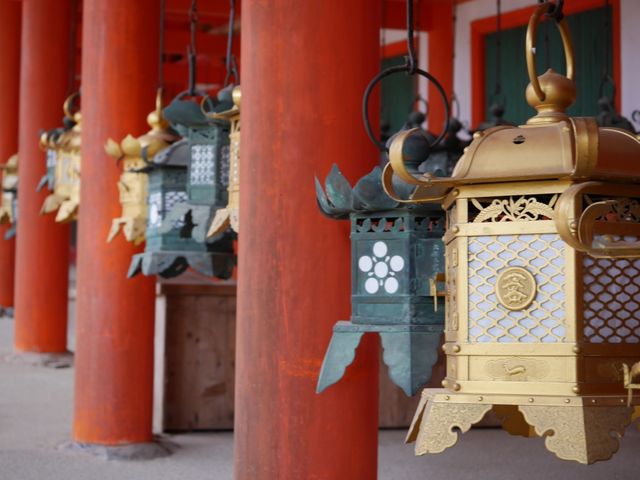 tЂƂΓUvo܂_tЖ{Ж{a