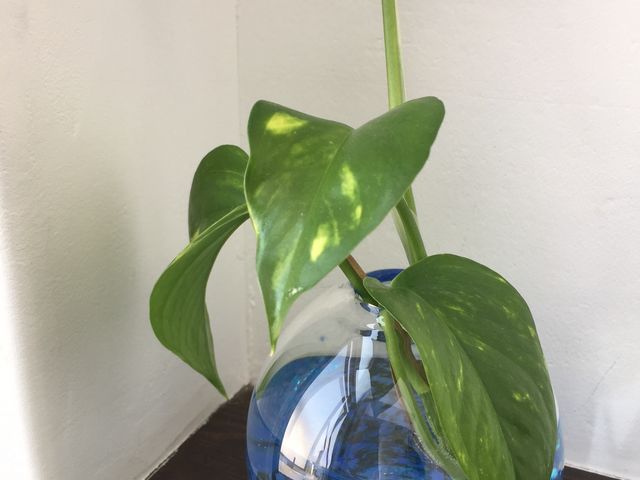 ��֑}��_�֓c�s�V���`�n����