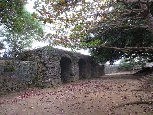 ���h�Ȑ΂̖�_���������Ζ�