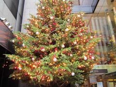 kojizm̃~LgEWւ̓eʐ^1