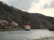 ~bVF̉~Ǔc΁ǐόj̓eʐ^1