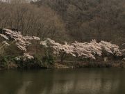 ~bVF̉~Ǔc΁ǐόj̓eʐ^3