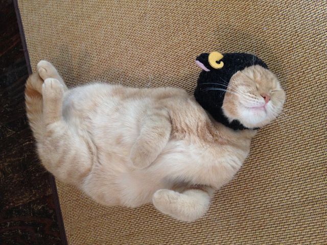 ���ɂ������L����񂪑�R���܂�(^-^)_�L�J�t�F�@���L