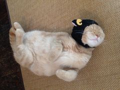 anapon̔LJtF@Lւ̓eʐ^1