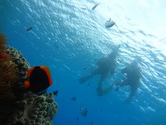 ݂S.E.P.}Nuւ̓eʐ^1