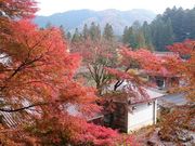 �������񂳂�̗������̓��e�ʐ^3