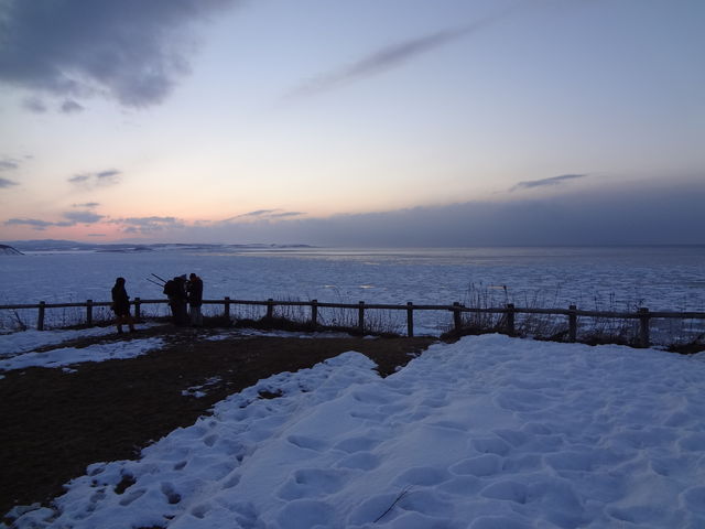 �������[���ł���_�\�斦�C��