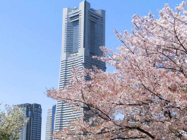 [h|[^[YO猩h}[N^[_l[h|[^[Y