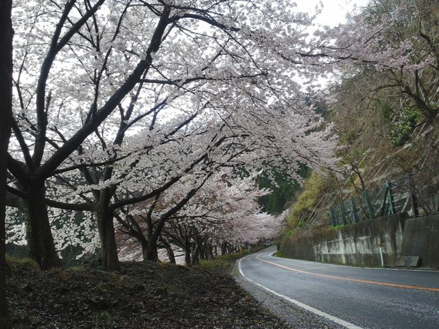 ���̃g���l��_�����i�΃p�[�N�E�F�C