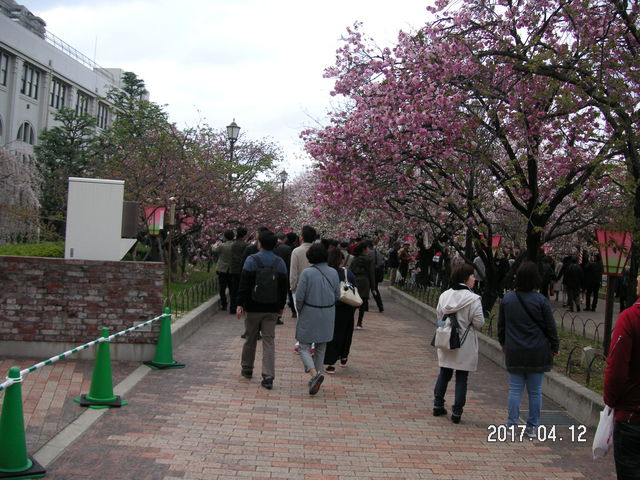 ���H_����������