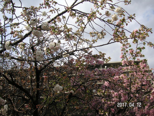 �ڂ݂̊J��_����������