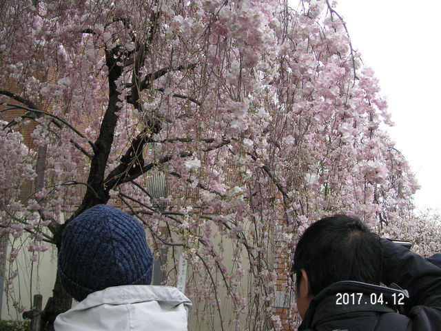 ��_����������