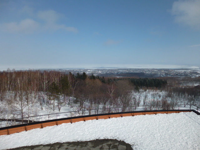 ��i�ł��I_�V�s�R�W�]��