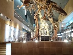 肳̖kBŝ̂єقւ̓eʐ^1