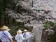 カメチャンさんの8番札所熊谷寺の投稿写真3