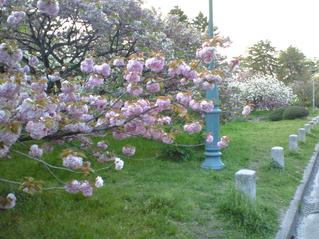 �X���Ƃ������܂�_���s�䉑