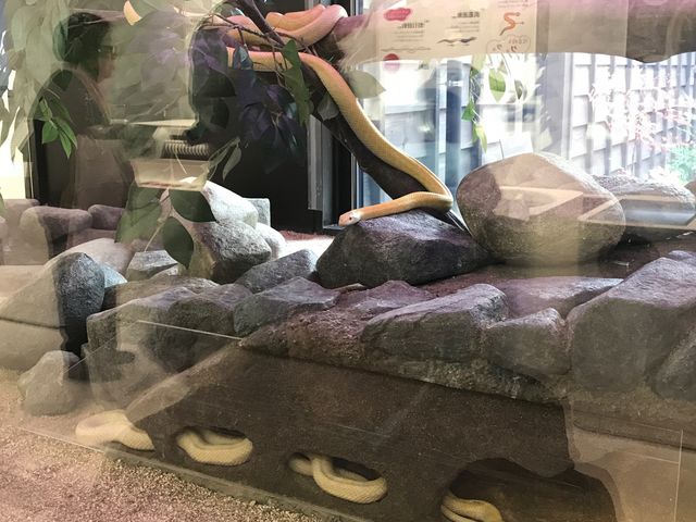 �����Ƃ��Ă�_���Ái�V�_�j���֎�����