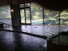 しんのすけさんの龍神温泉元湯への投稿写真1