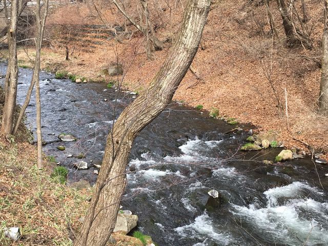 njeXV̏앗iiQ/Tj_y򐯖GA@njeX