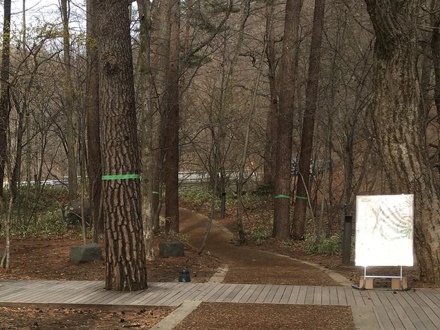 �E�b�h�E�`�b�v�ܑ��̗V�����E�ъԕ��i�i�S/�T�j_�y��򐯖�G���A�@�n���j���e���X