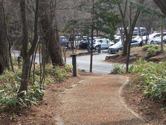 �E�b�h�E�`�b�v�ܑ��̗V��������]�ށA�u���쉷��v��������ԏ�i�T/�T�j_�y��򐯖�G���A�@�n���j���e���X