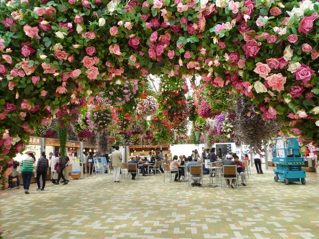 �����͉Ԃł����ς��A���X��������_�O���X�J�C�E�H�[�N