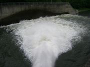 `܂˂̎mq_Ƃƌ΂̓eʐ^3