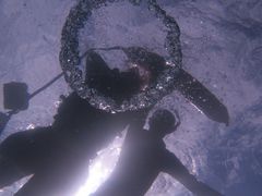 肱񂳂̃}VbvΊ_Ί㐿ւ̓eʐ^1