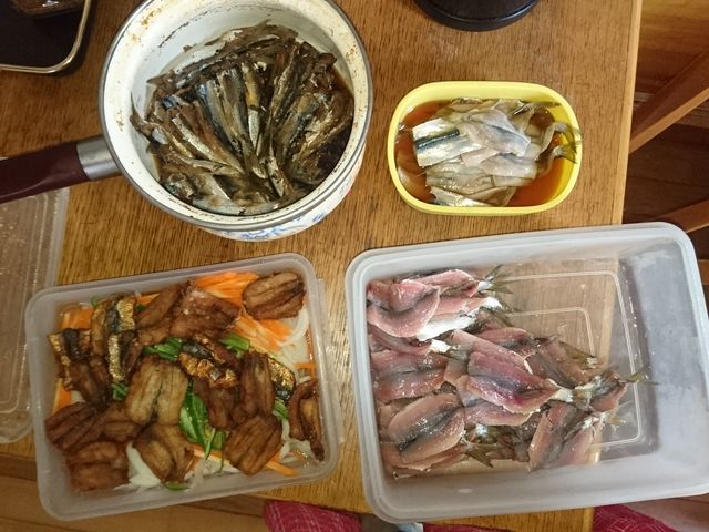 ܂܂務
TrL̗v̂RlłQOOC炢ނ܂B_lӉ