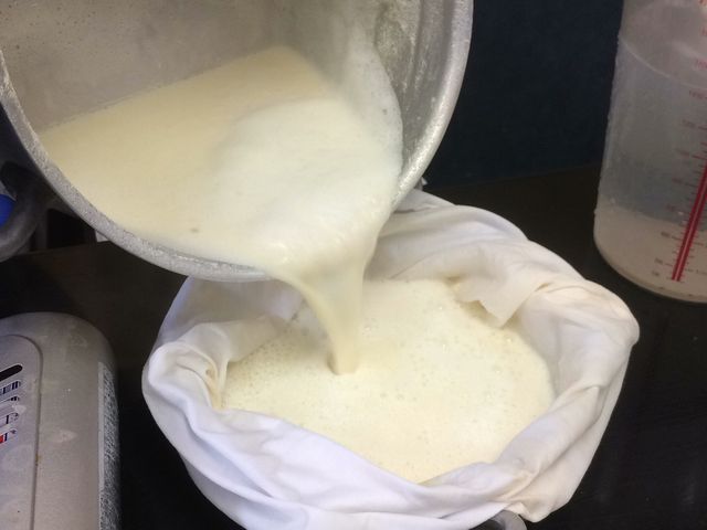 �������̌�_�������Ƃ����イ�₩��