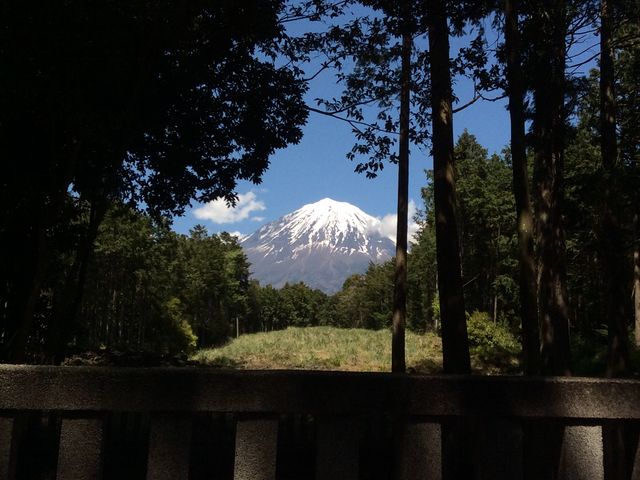 Ñォ󂯌plX p[ĎQ܂Bf炵łB_R{Ԑ_