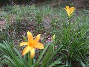 񂿂񂳂̓sԎR̓eʐ^1