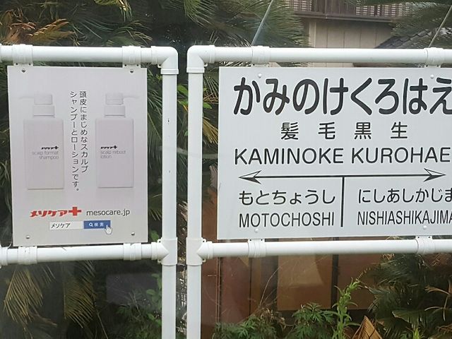 w̉ɂ́AXJvfB[̍LI_qdCS