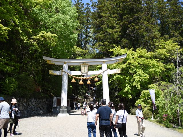 ��������̐l���K��Ă��܂����B_��o�R�_��